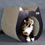 Drapak dla kota Cat