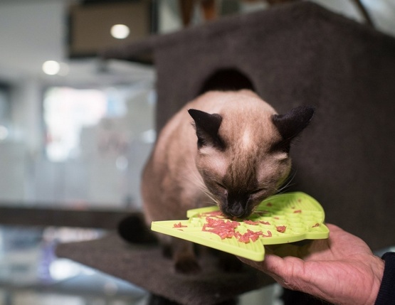 981bcea3b2484e8f2692d792b686008b