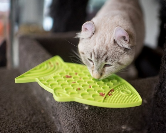 6ac23b0aa705c76948a80e6d3d203768